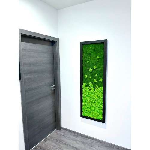Mechový obraz z plochého a sobího mechu 150*50cm - dřevěný rám černý